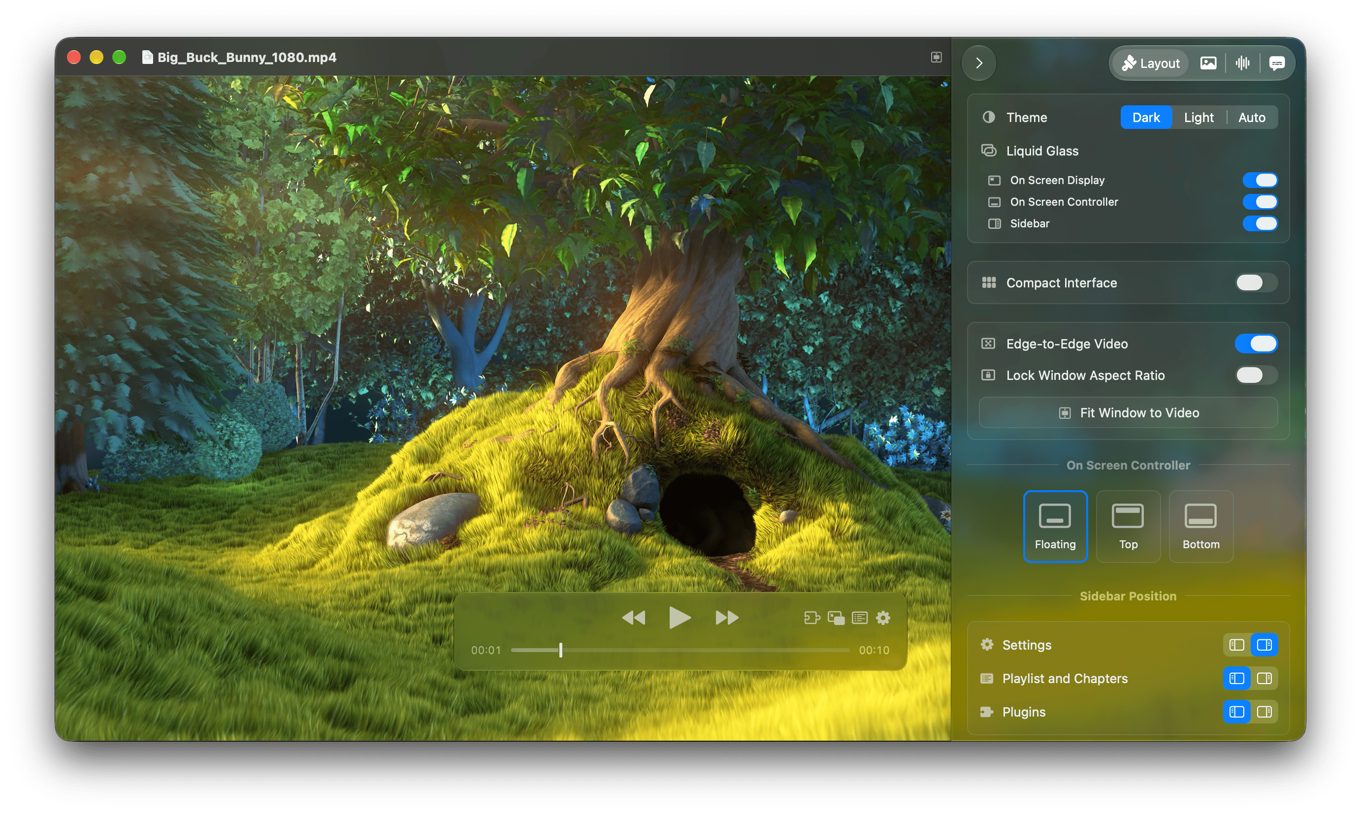 Layout sidebar in IINA 1.5.0
